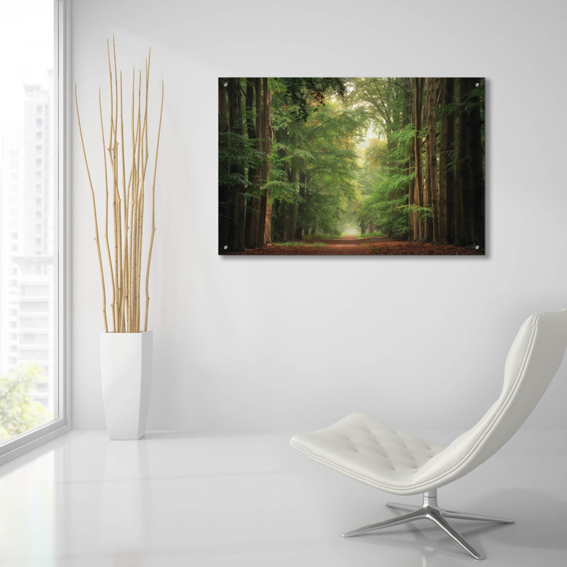  «Forest Bound» par Martin Podt, art mural en verre acrylique, 36 po x 24 po, H 24 po x l 36 po