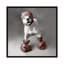 «Boxing Dog» par Rachael Hale, reproduction de photo sur toile tendue-72438342-72438344-72438352