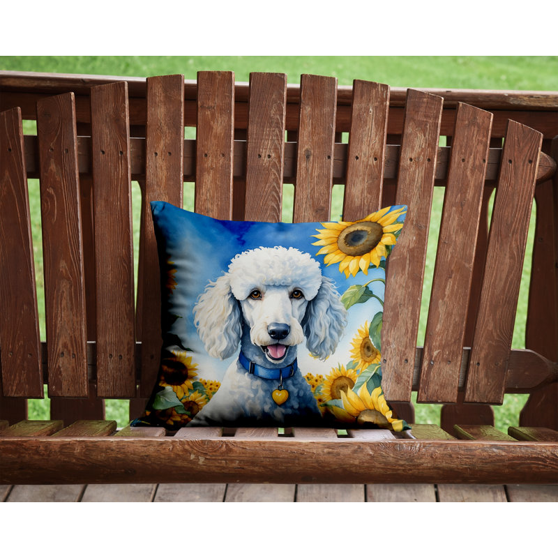 Coussin décoratif intérieur / extérieur Autre / Sans motif, H 14 po x l 14 po