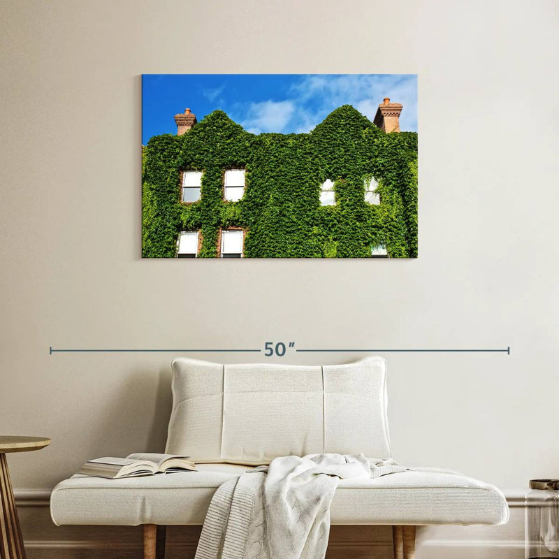 Plant Covered House, 24" H x 36" W