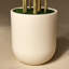 Ficus artificiel de 8 pi dans un pot à fleurs blanc crème, faux banian Real-Touch multi-troncs-1541086537