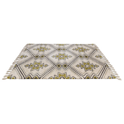 Lander Geometric Hand Woven Area Rug