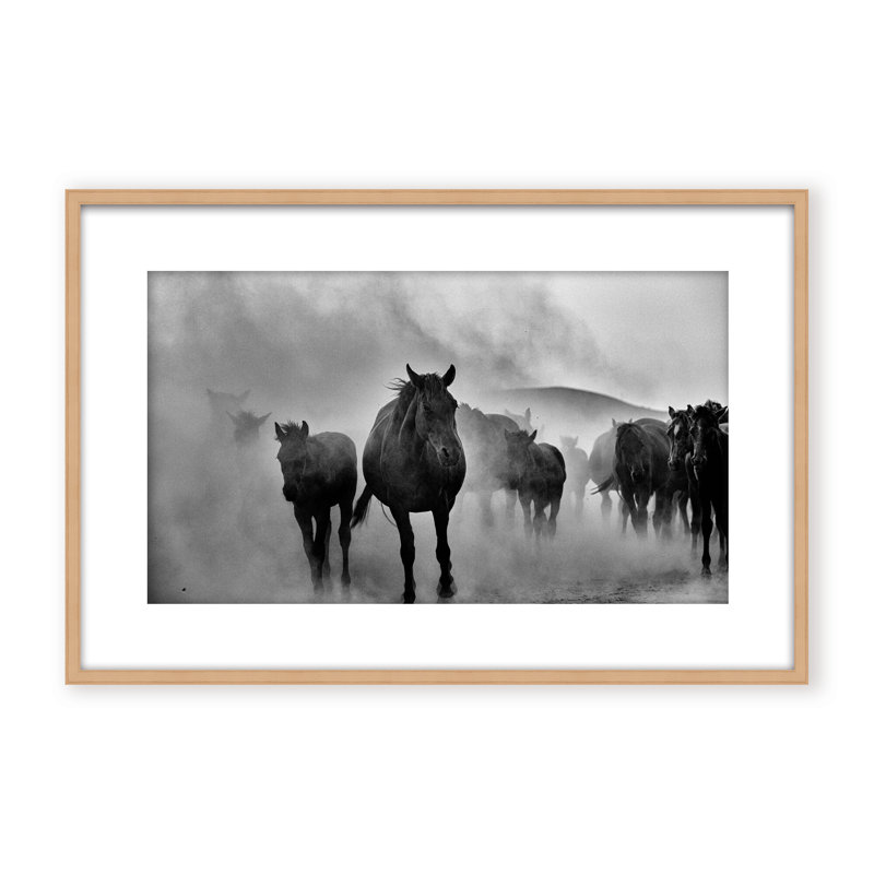 Nature Inspired Untitled by  - Picture Frame Photograph on Paper, 32" H x 48" W x 1.125" D, Black, Framed Matted Print