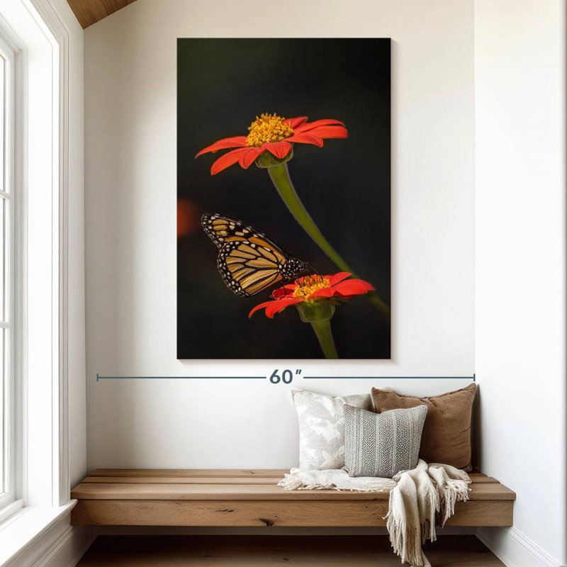 Brampt Butterfly Portrait I, 51" H x 34" W