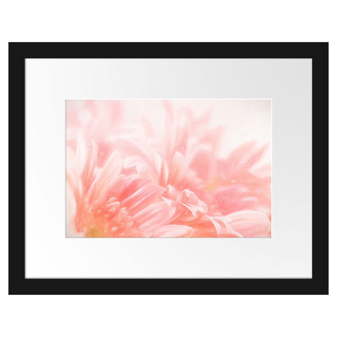 Gerahmtes Poster Gerbera-Blume