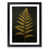 Black Framed selected