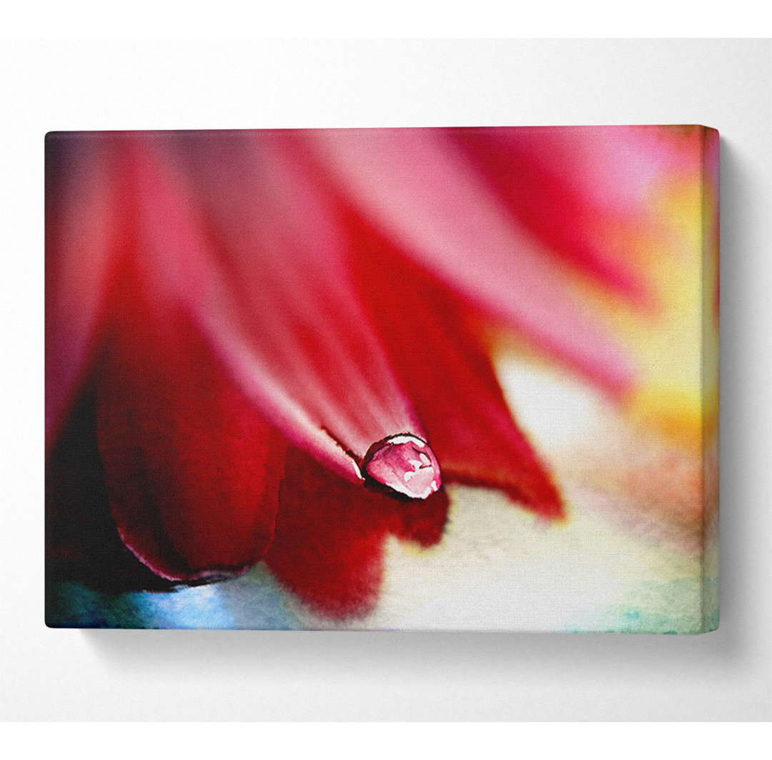 Drop On Flower Petal - Kunstdrucke auf Leinwand