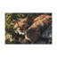 No Frame Print on Canvas-1373350690