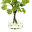 Organic Modern Snowball Viburnum Floral Arrangement