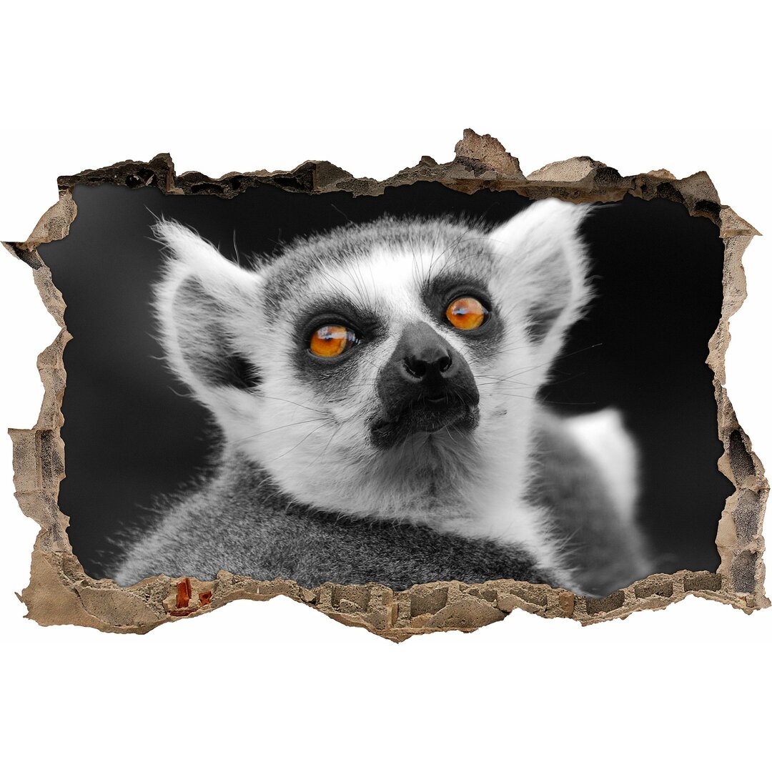 Prächtiger Ringelschwanzlemur Wandaufkleber