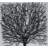 Withered Tree Shadow Box Wall Décor