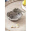 Cresa Nesting Bird Dish Set of 2 9" x 7.5" x 5" Brown
