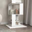 Bibliothèque rotative à 5 niveaux, support de plancher avec plaque en acrylique-991466581-989144871