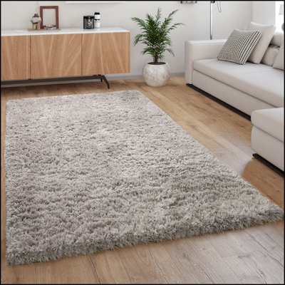 Bruss Area Rug