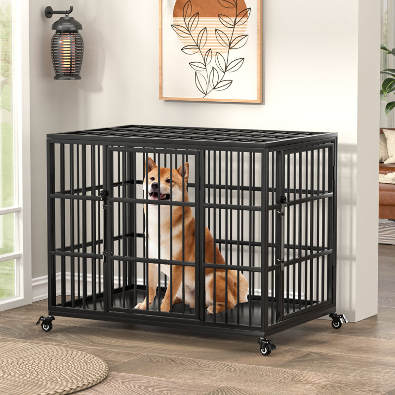 Cage pour chien robuste 36 pouces pour chiens de taille moyenne avec loquet autobloquant, chenil en acier à l'épreuve des fuites