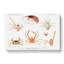 Crabs & Shrimps by Albert I - Wrapped Canvas-55304199