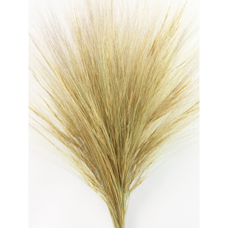 Rainbow Grass Arrangement, Natural