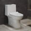 Daxton One Piece Elongated Dual Flush Toilet