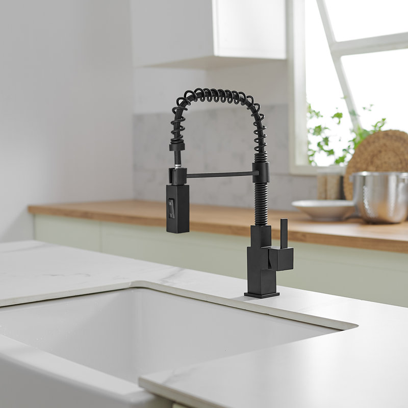 BESy Single Handle 2 Function Pull Down Kitchen Faucet with Accessories