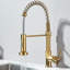 Belfry Kitchen Arradene Pull Down Kitchen Faucet
