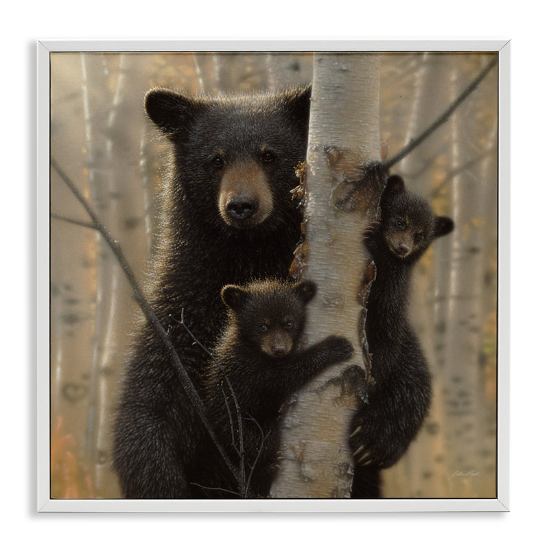 31_Ours noir et oursons tendres, forêt tendue de forêt par Collin Bogle, H 17 po x l 17 po x P 1,5 po