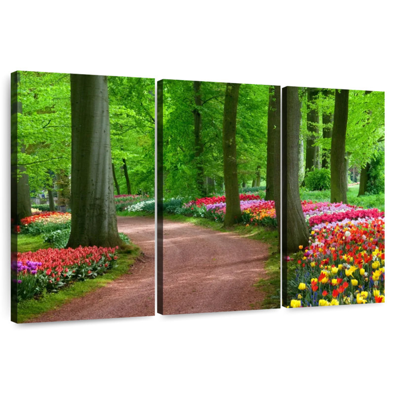 Tulipes dans le parc Sireci, H 20 po x l 33 po
