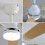 Ventilateur de plafond d'intérieur moderne de 52 pouces avec moteur à courant continu réversible à 5 vitesses et 5 lumières à DEL à intensité variable-117278887-117278886-117278889