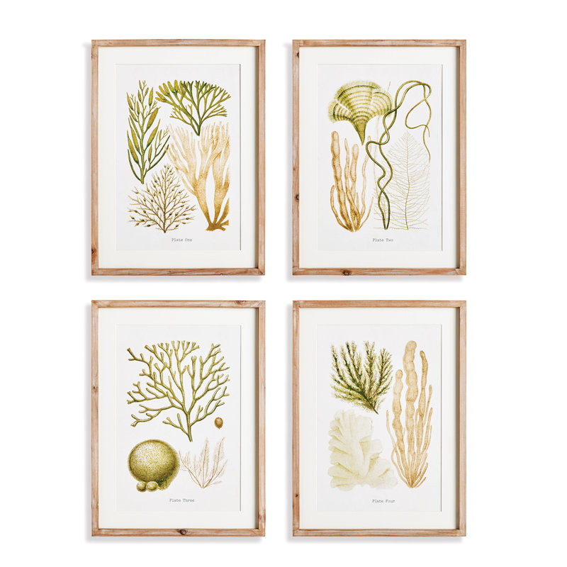 Verdant Coral Study Prints