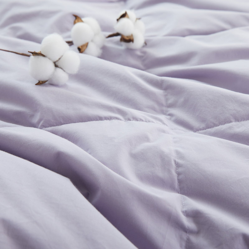Fill Power All Season, Twin Down Comforter, Purple
