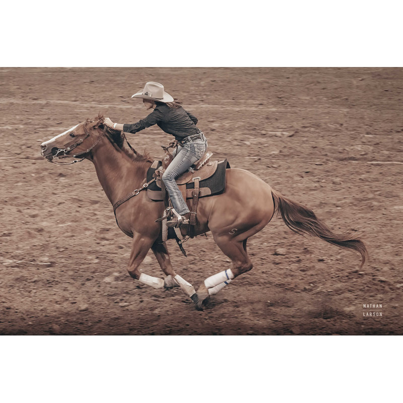 " Rodeo II ", 24" H x 36" W  