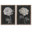 «Black and White Flowers I», ensemble de 2 reproductions d'art encadrées-1047400654-1047400655-1047400648