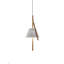 Cambo 1 Pendant