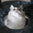 Cellestine 68.1'' H Cat Tree-944714099