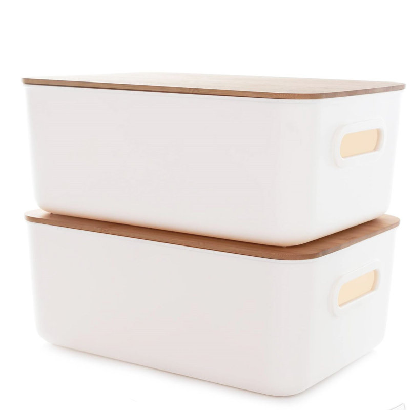 Rebrilliant Plastic Bin