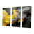 Wrapped Canvas
