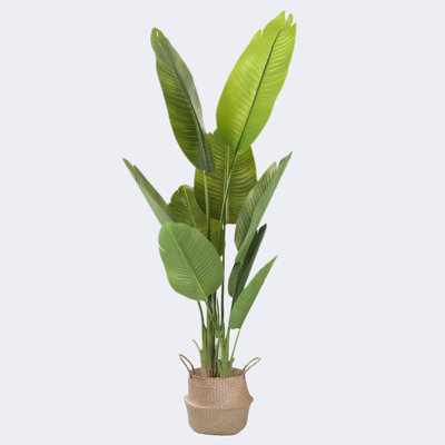 Artificial Banana Leaf Tree Potted Plant & seagrass Basket Plant Pot with Handles