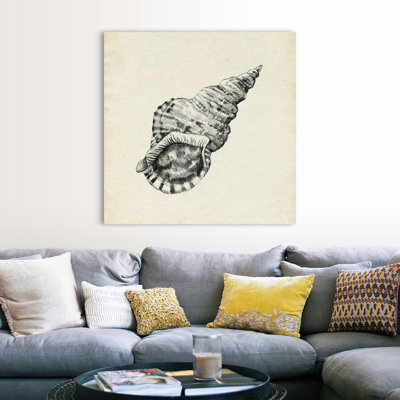 Croquis de coquillage I par Emma Caroline - reproduction d'art