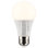 6 Watt White LED Bulb