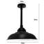 Asuka 1 - Light Black Dome Pendant