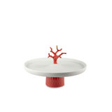 Coral Centerpiece