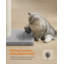 Tacha Scratching Post-909432559