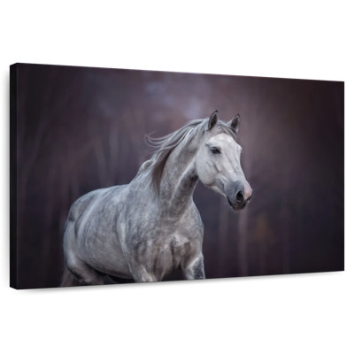 Brampt Running Arabian Horse