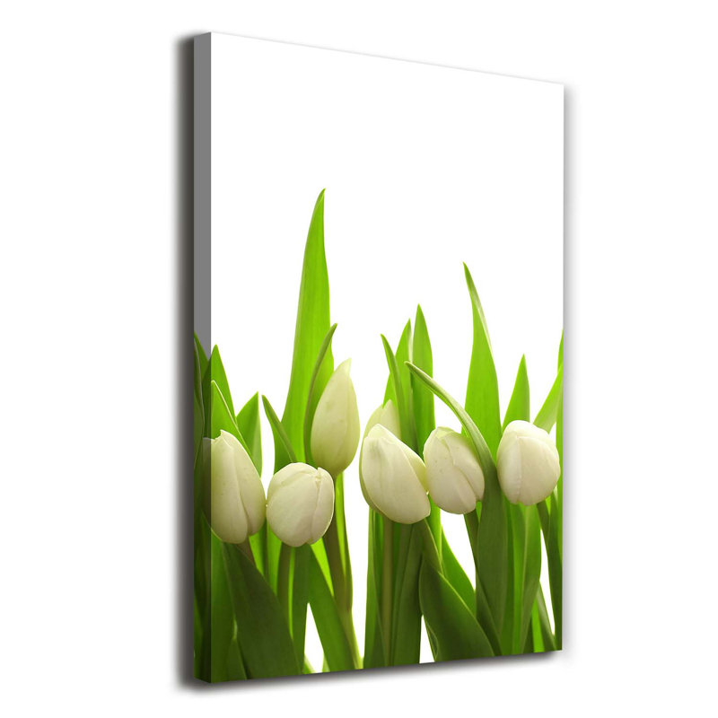 White Tulips - Wrapped Canvas Print