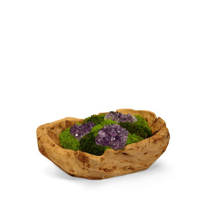 Moss Plant in Wood Planter