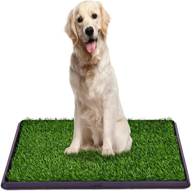 https://assets.wfcdn.com/im/73827376/resize-h380-w380%5Ecompr-r70/2400/240039517/Dog+Grass+Pet+Loo+Indoor%2FOutdoor+Portable+Potty%2C+Artificial+Grass+Patch+Bathroom+Mat+And+Washable+Pee+Pad+For+Puppy+Training%2C+Full+System+With+Trays+%28Pet+Training+Tray%2C+30%22X20%22%29.jpg