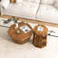 Ensemble de 2 tables basses
