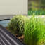Lit de jardin surélevé Roede-875377150-929403018