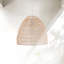 1 - Light Natural Pendant