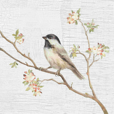 " Black Capped Chickadee Vintage " by Danhui Nai