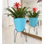 Pot à fleurs en résine de polyéthylène Clent-1078147420-1160772234